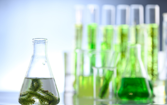 Brasil assina acordo para banir caminhões a biocombustível até 2040