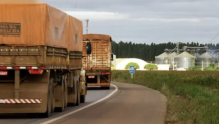Frete rodoviário bate recorde no Brasil em 2026 e escassez de caminhões impulsiona alta dos custos no agronegócio